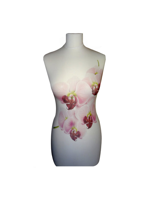 Paspophoes Wild Orchid